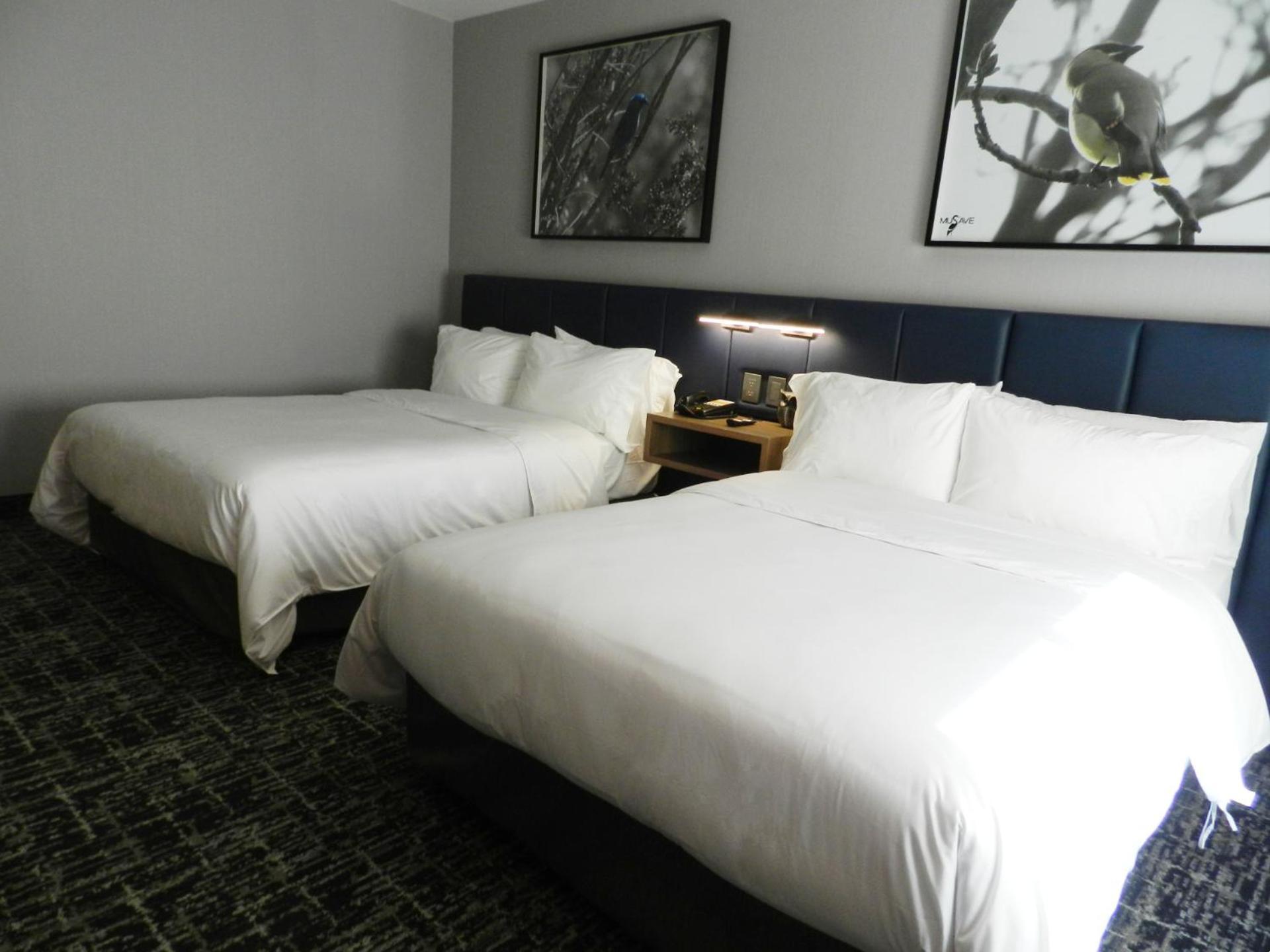 Voco Saltillo Suites By Ihg Luaran gambar