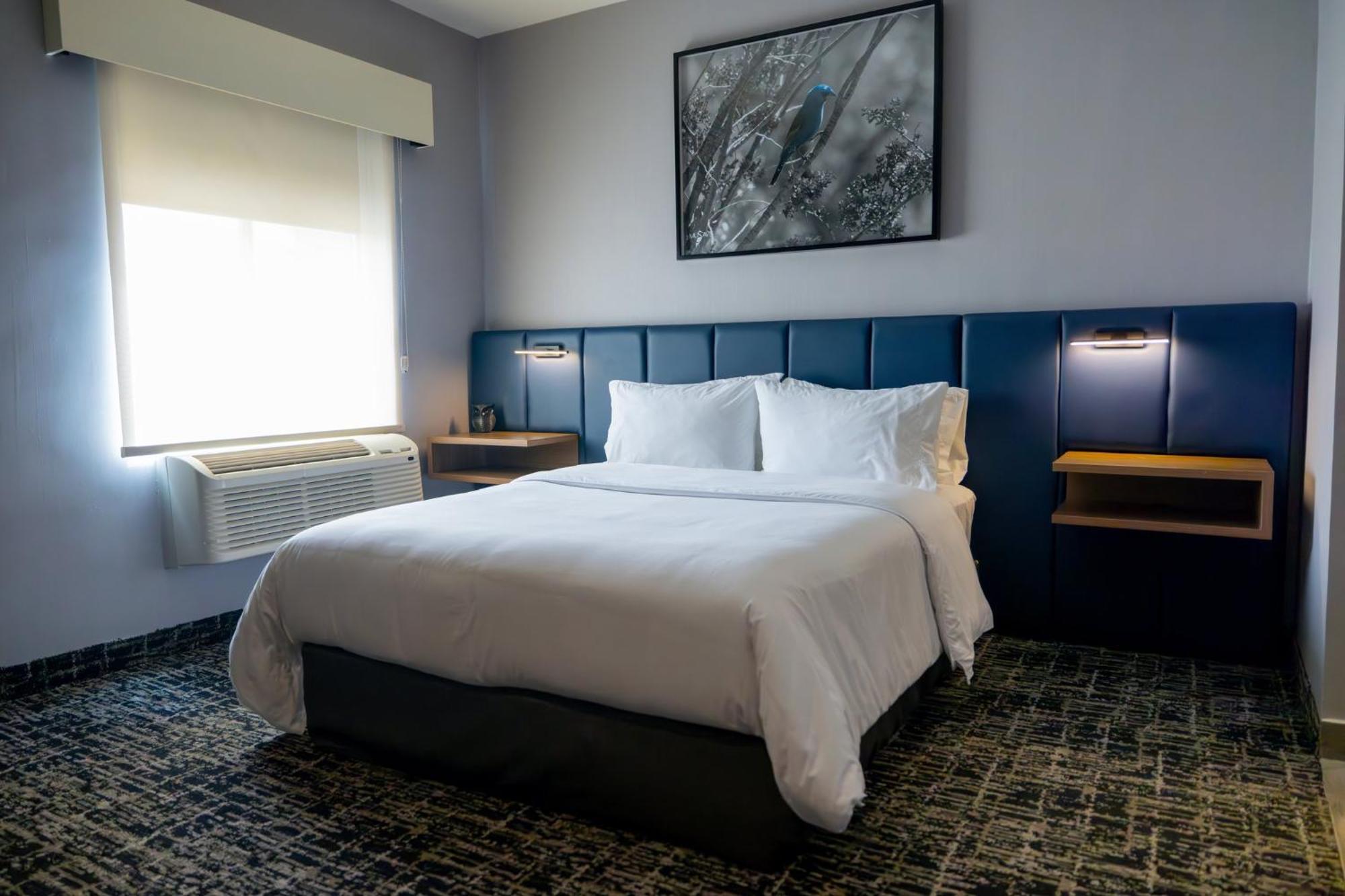 Voco Saltillo Suites By Ihg Luaran gambar