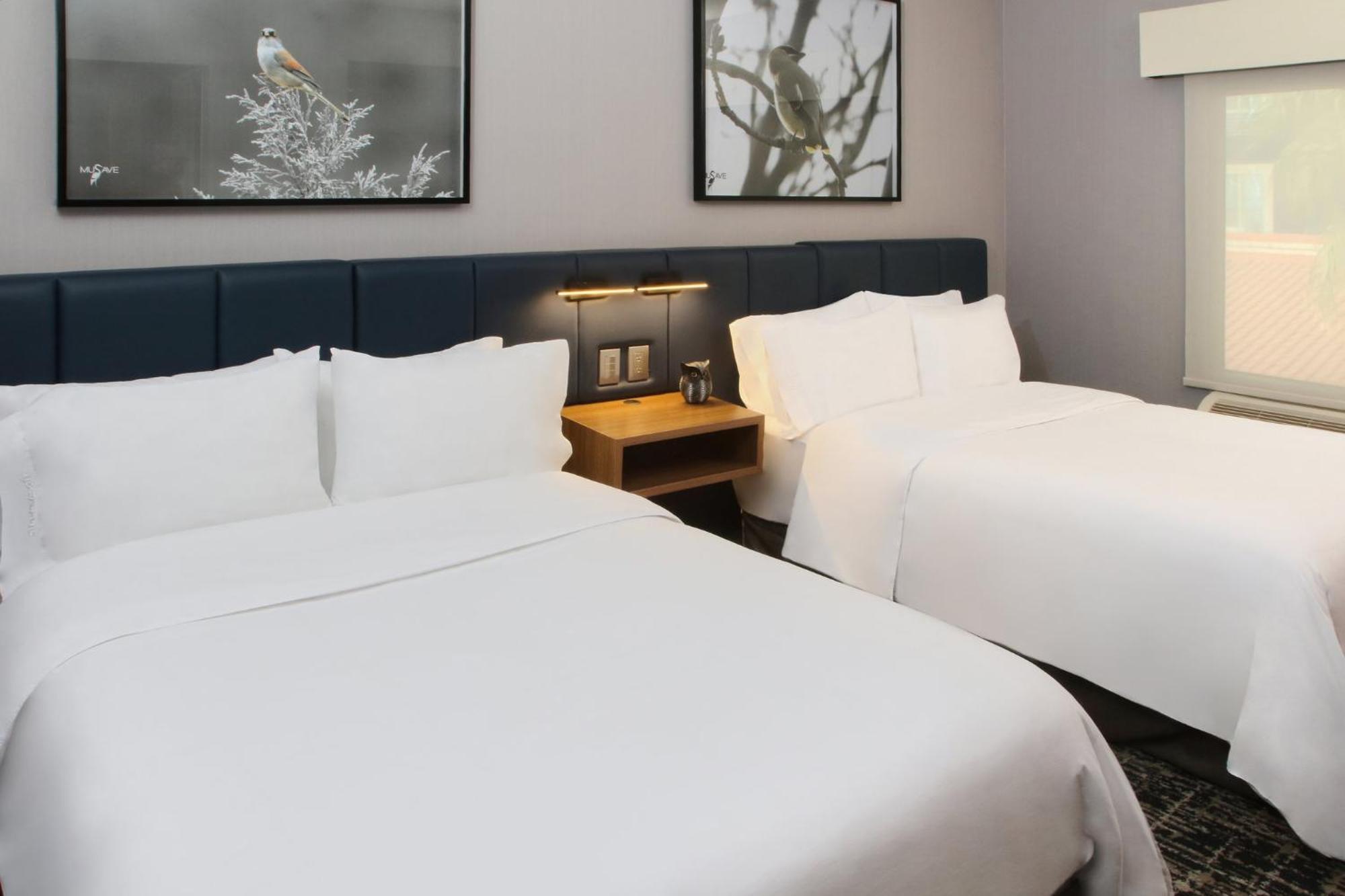 Voco Saltillo Suites By Ihg Luaran gambar