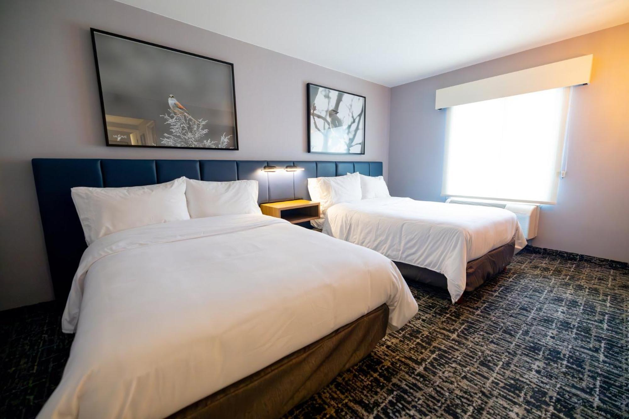 Voco Saltillo Suites By Ihg Luaran gambar