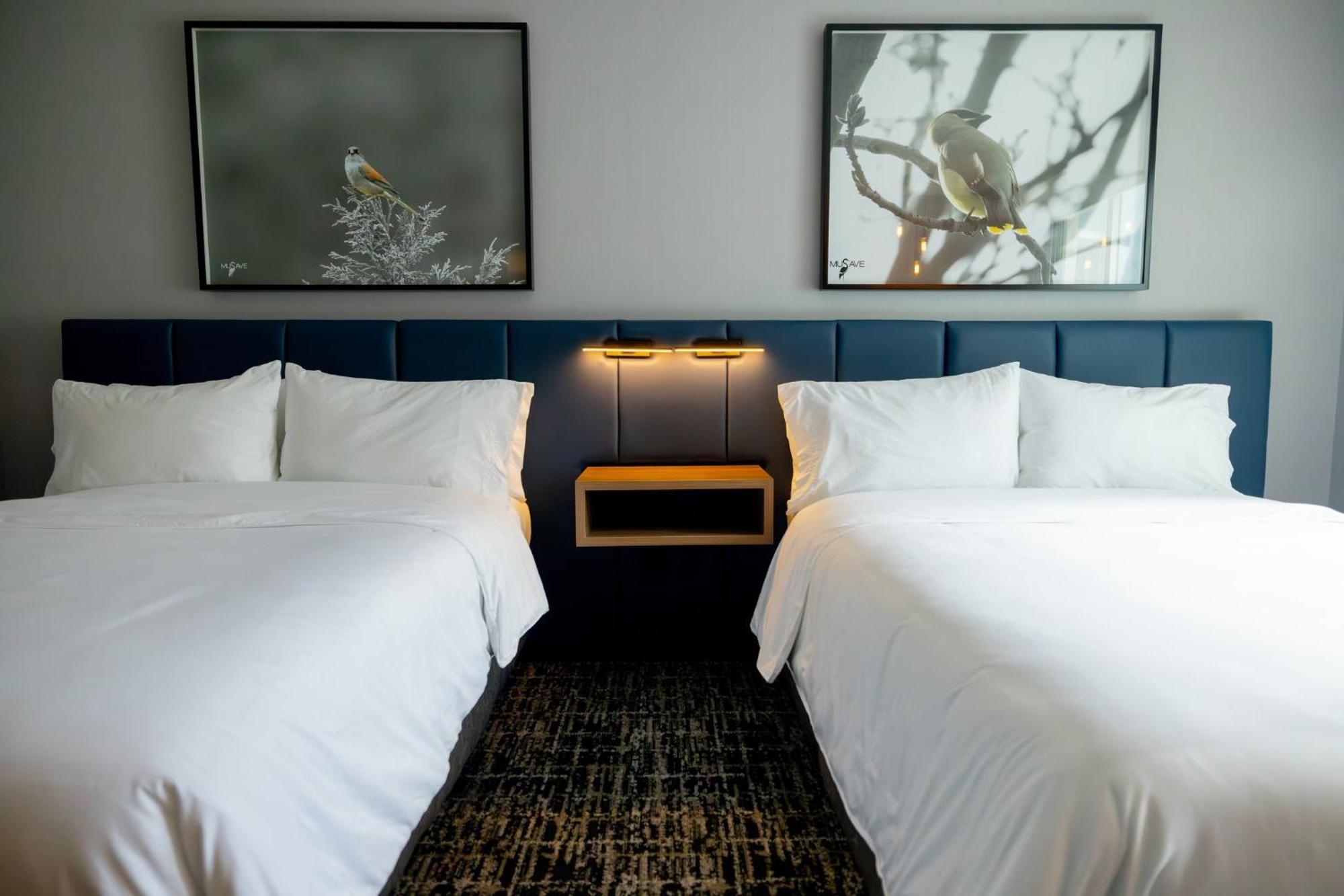 Voco Saltillo Suites By Ihg Luaran gambar